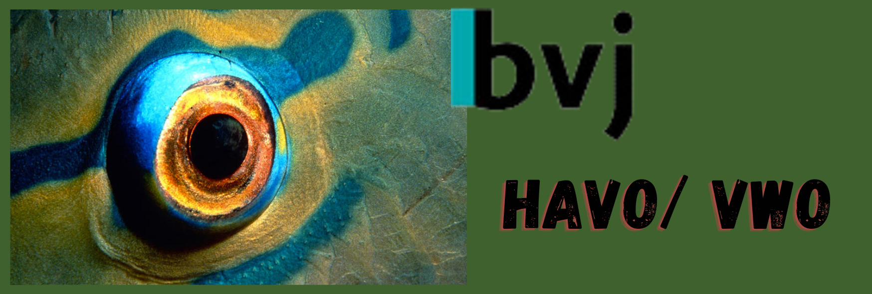 Biologie voor jou | Carmabi